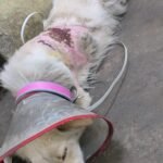 img-20260224-wa08892616274367936189500