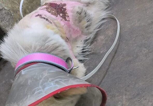 img-20260224-wa08892616274367936189500