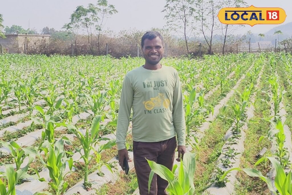 ड्रिप इरिगेशन से बदला गुमला के किसान का जीवन,10 एकड़ में खेती से कमा रहे लाखों