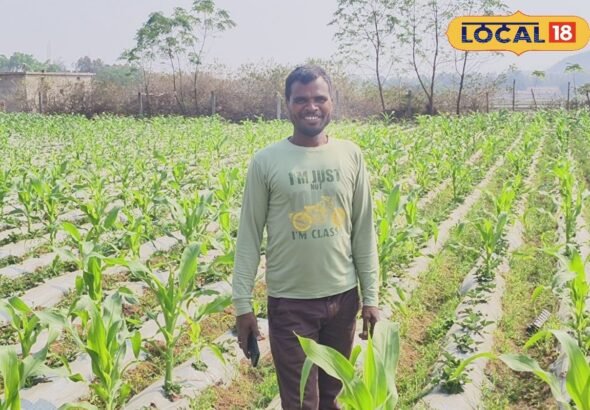 ड्रिप इरिगेशन से बदला गुमला के किसान का जीवन,10 एकड़ में खेती से कमा रहे लाखों