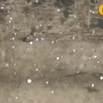 सीतामढ़ी में ओलावृष्टि का कहर, गेहूं,सरसों से लेकर आम-लीची तक बर्बाद, जानें हाल