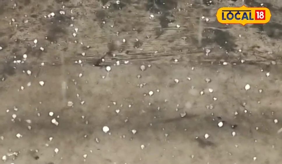 सीतामढ़ी में ओलावृष्टि का कहर, गेहूं,सरसों से लेकर आम-लीची तक बर्बाद, जानें हाल