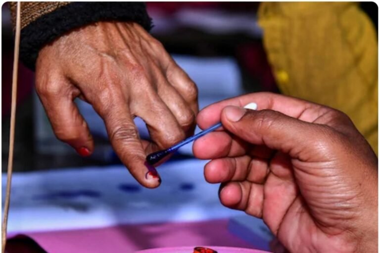 पोलिंग बूथ बिना गए दे दिया वोट, 10922 लोगों ने घर बैठे ही चुनी अपनी सरकार