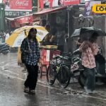 UP Weather Today: पीलीभीत में गर्मी से लोगों को मिली राहत, झमाझम बारिश से मौसम हुआ खुशनुमा