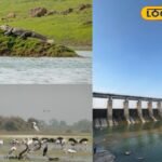 Manjira Wildlife Sanctuary: हैदराबाद के पास प्रकृति का जन्नत; मगरमच्छों और पक्षियों के दीदार के लिए बेस्ट है मंजीरा वाइल्ड लाइफ सैंक्चुअरी