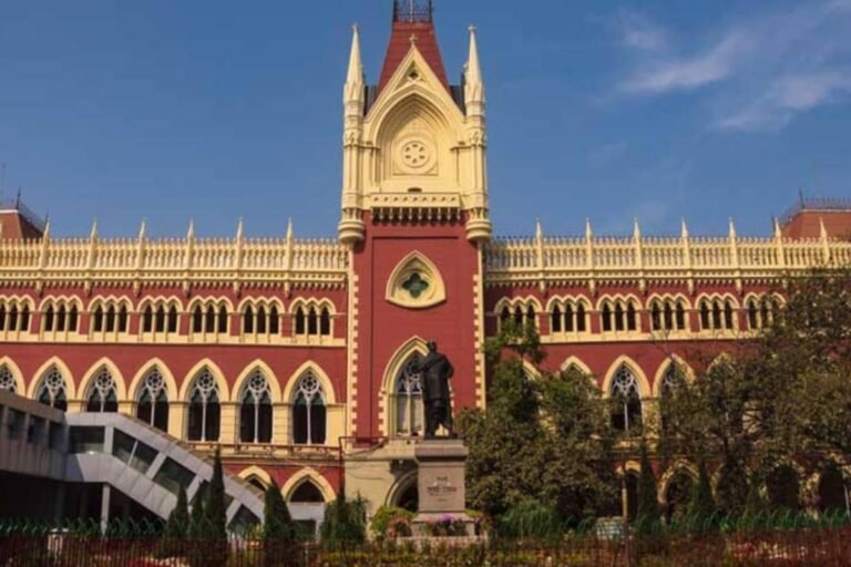 'गाय की कुर्बानी ईद का हिस्सा नहीं', कलकत्ता हाईकोर्ट की अहम टिप्पणी, सुवेंदु सरकार को राहत
