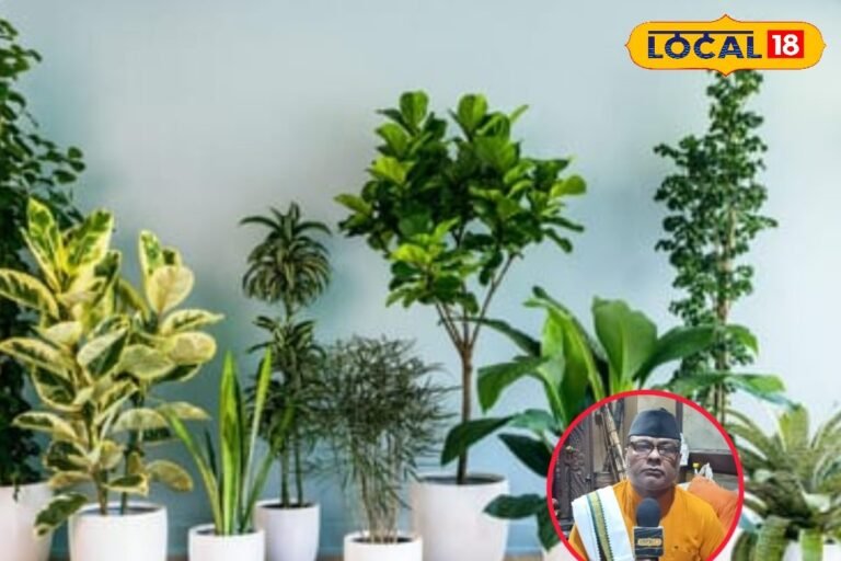 Vastu Tips: राहु-केतु और शनि से परेशान हैं? तो घर में लगाएं ये शुभ पौधे जो दिलाएंगे ग्रह दोष से मुक्ति