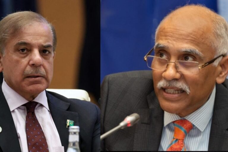 अरे तुम तो अपने ही लोगों पर बम बरसाते हो, हमारे मामले में क्या बोलोगे...UN में भारत ने पाकिस्तान को रगड़ा
